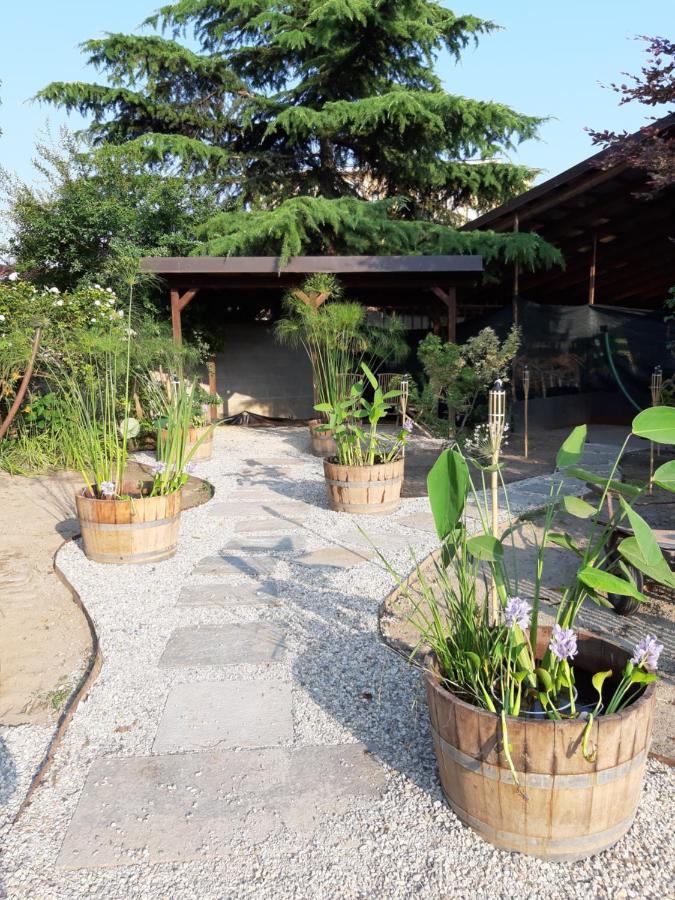 Agriturismo Casa De Colores Moretta Экстерьер фото