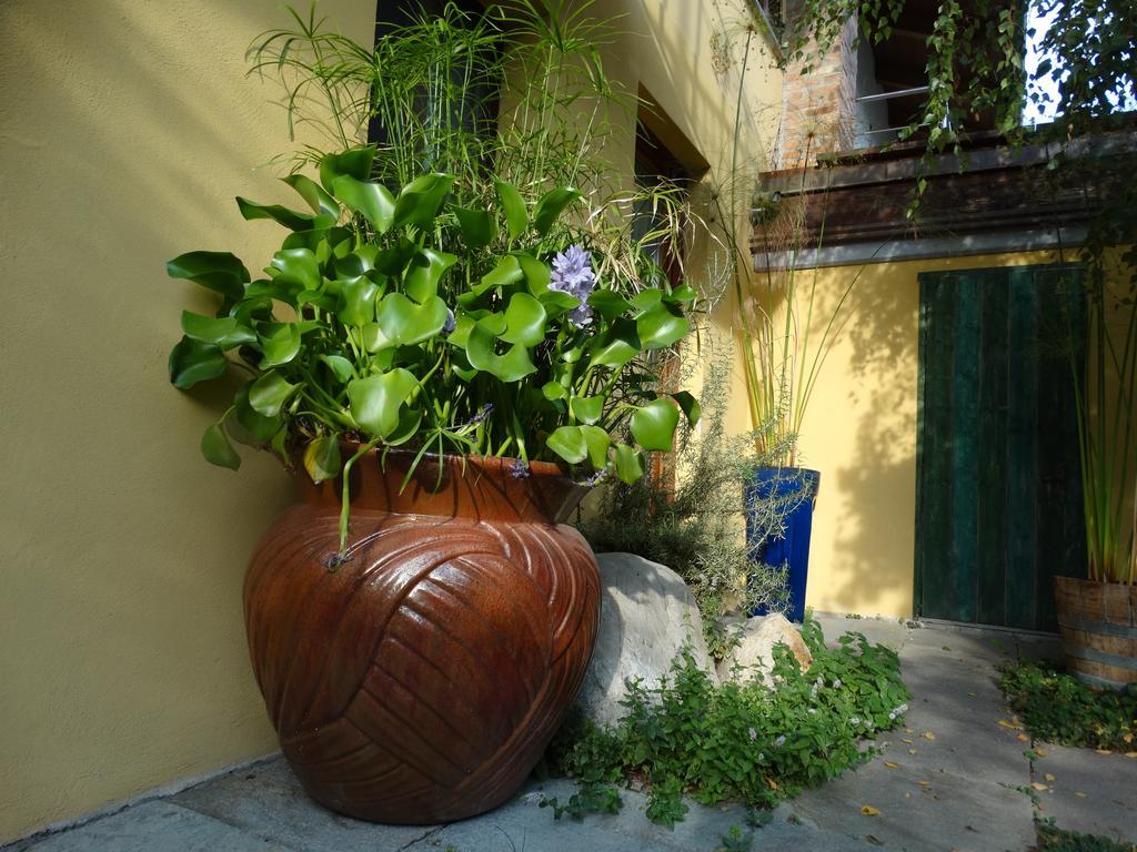 Agriturismo Casa De Colores Moretta Экстерьер фото