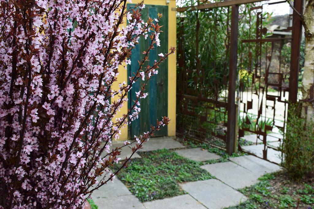 Agriturismo Casa De Colores Moretta Экстерьер фото